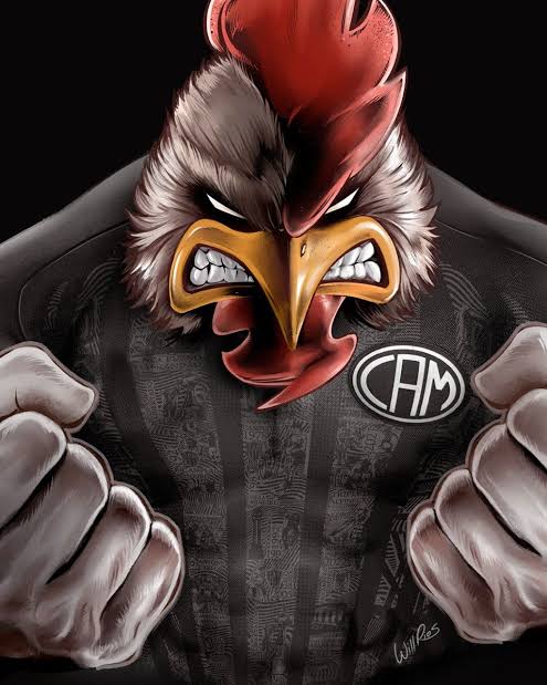 Galo Doido